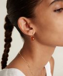 14k Pumpkin Earrings Maxi Brown Horn