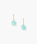 14k Stella Earrings Amazonite